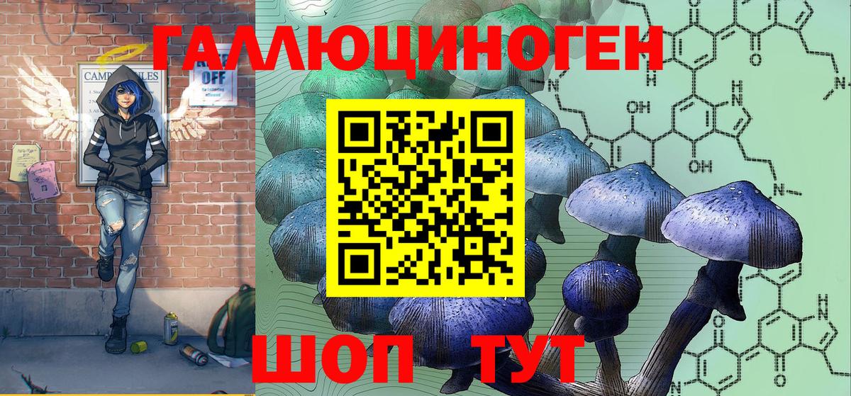 Псилоцибиновые грибы GOLDEN TEACHER Сатка